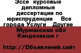 Эссе, курсовые, дипломные, диссертации по юриспруденции! - Все города Услуги » Другие   . Мурманская обл.,Кандалакша г.